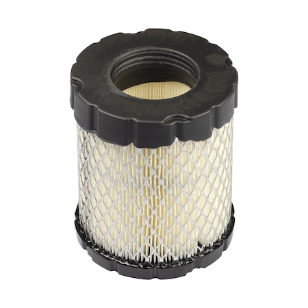 Briggs & Stratton Air Filter 798897
